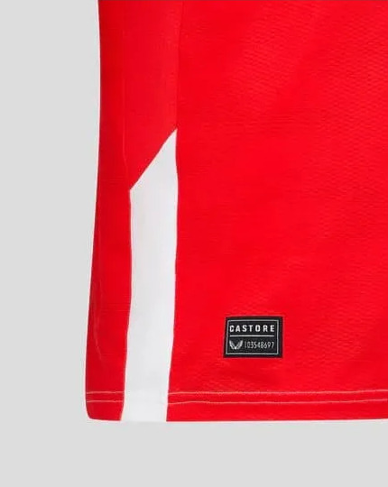 MAILLOT FEYENOORD DOMICILE 2024-2025