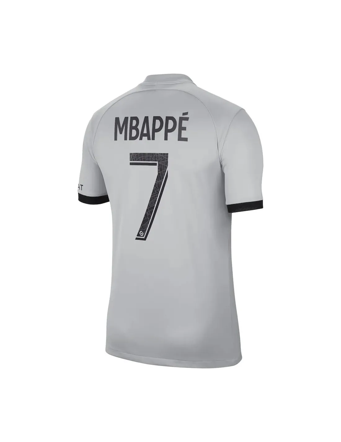 FRANCE LIGUE 1,PARIS