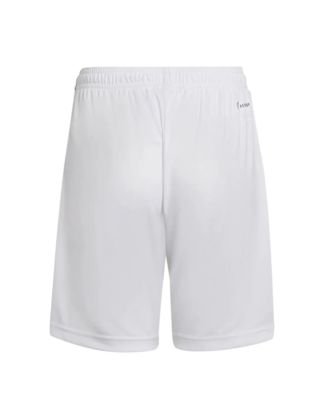 ESPAGNE LIGA,REAL MADRID