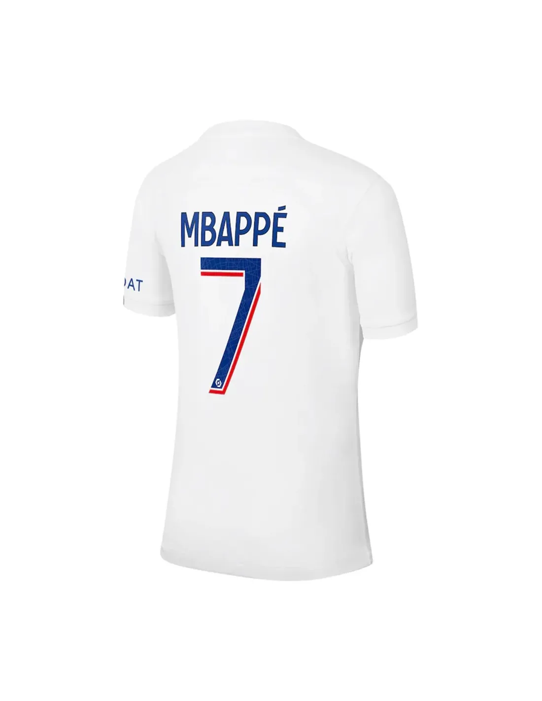 FRANCE LIGUE 1,PARIS