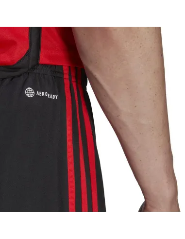 BELGIQUE,PACK ENSEMBLE ADULTE