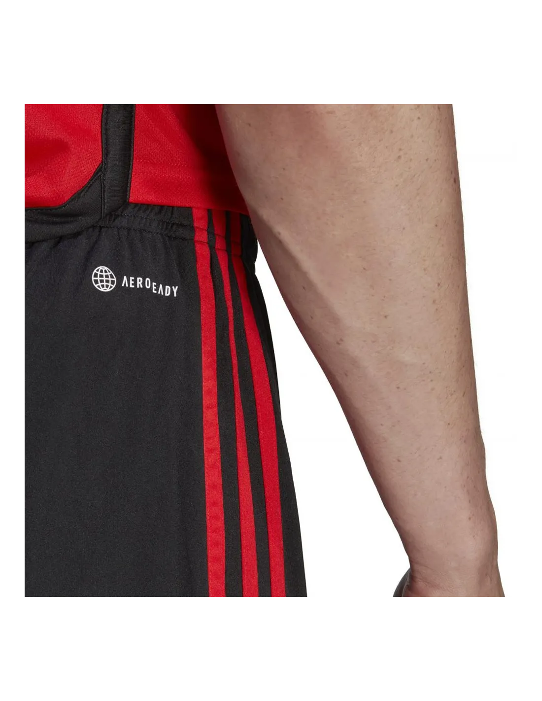 BELGIQUE,PACK ENSEMBLE ADULTE