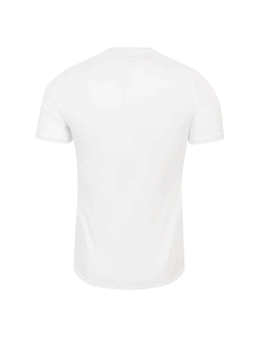 ANGLETERRE,ENGLAND RUGBY