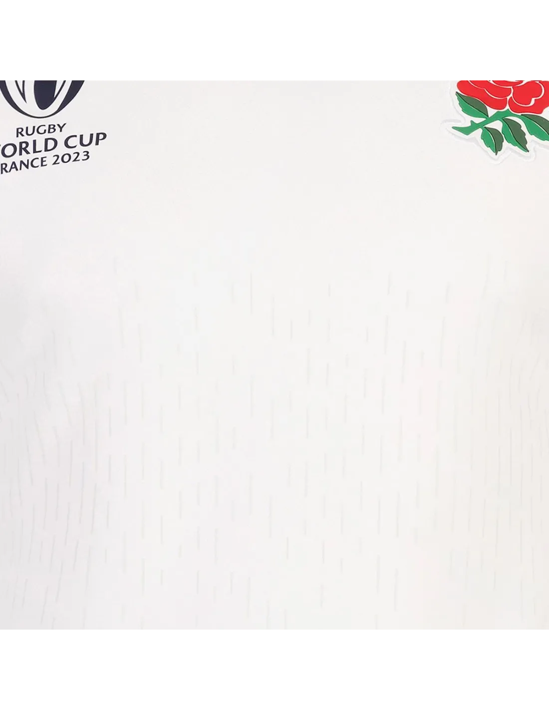 ANGLETERRE,ENGLAND RUGBY