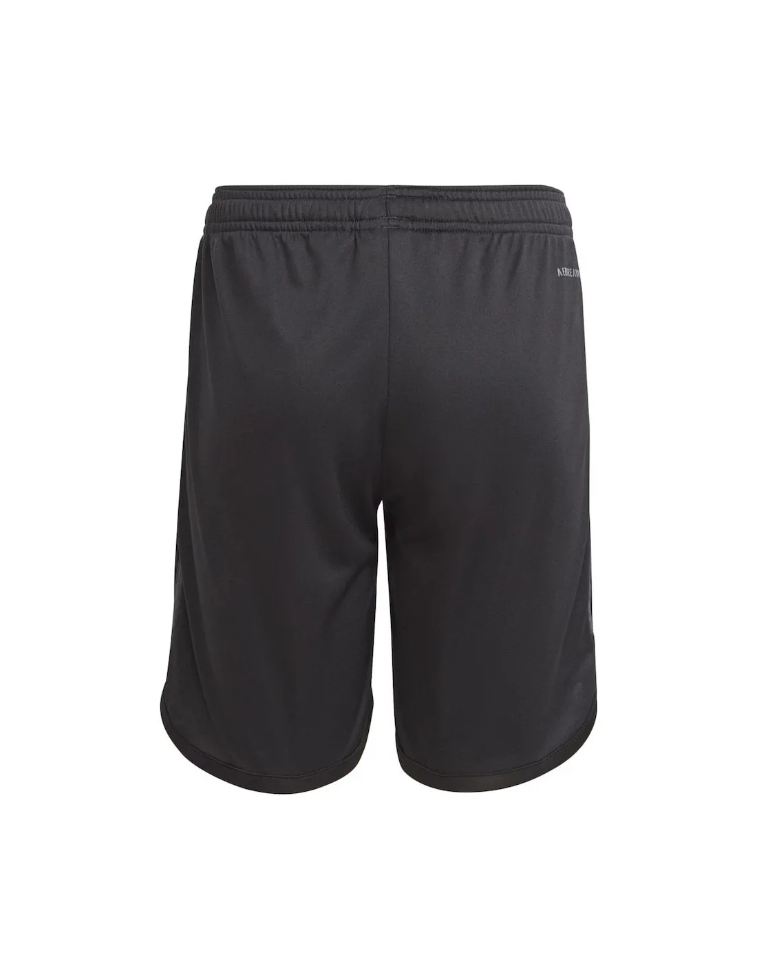 ESPAGNE LIGA,REAL MADRID