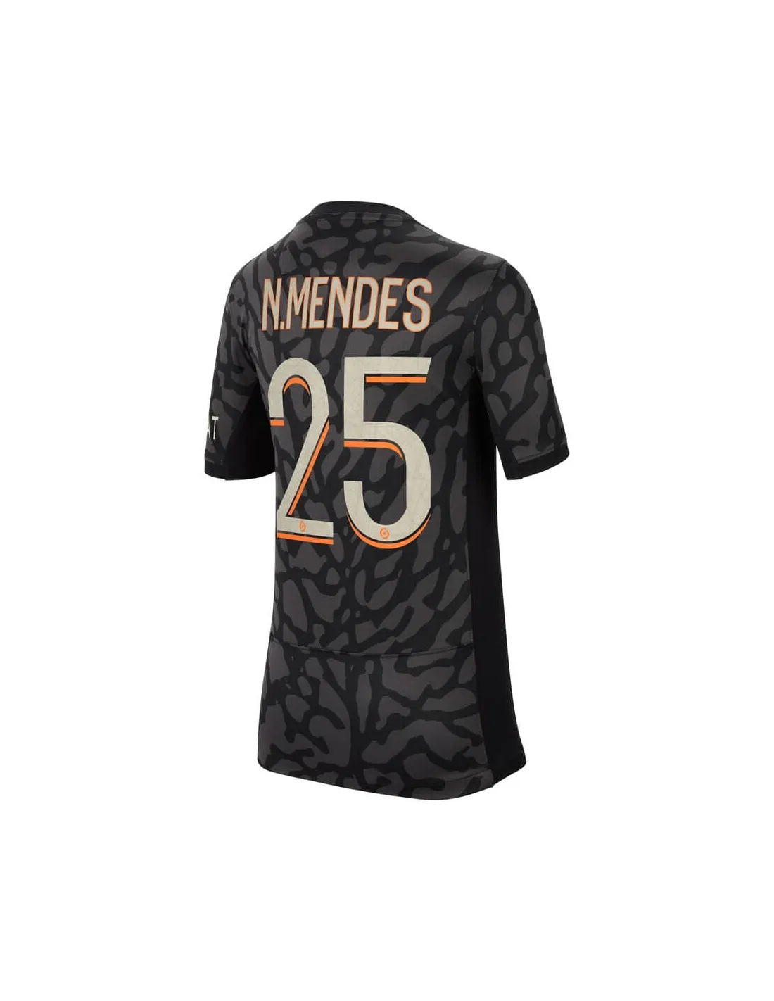 FRANCE LIGUE 1,PARIS