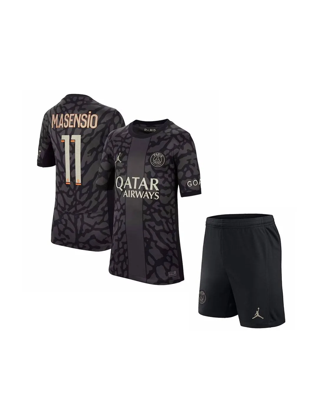 FRANCE LIGUE 1,PARIS