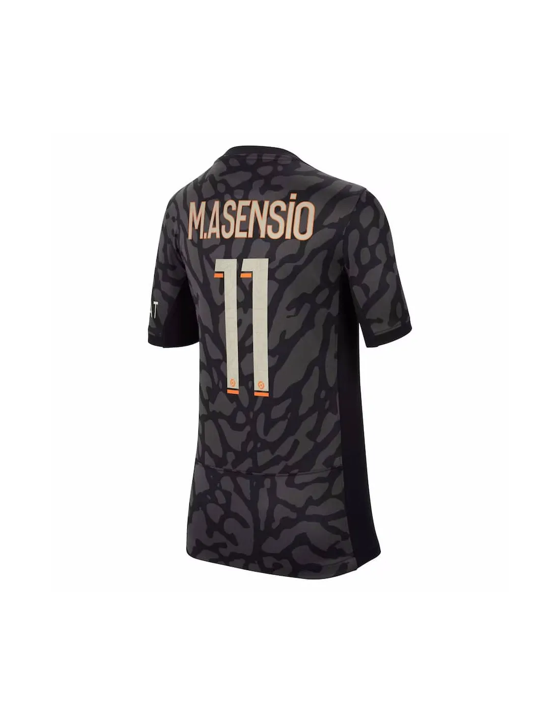 FRANCE LIGUE 1,PARIS