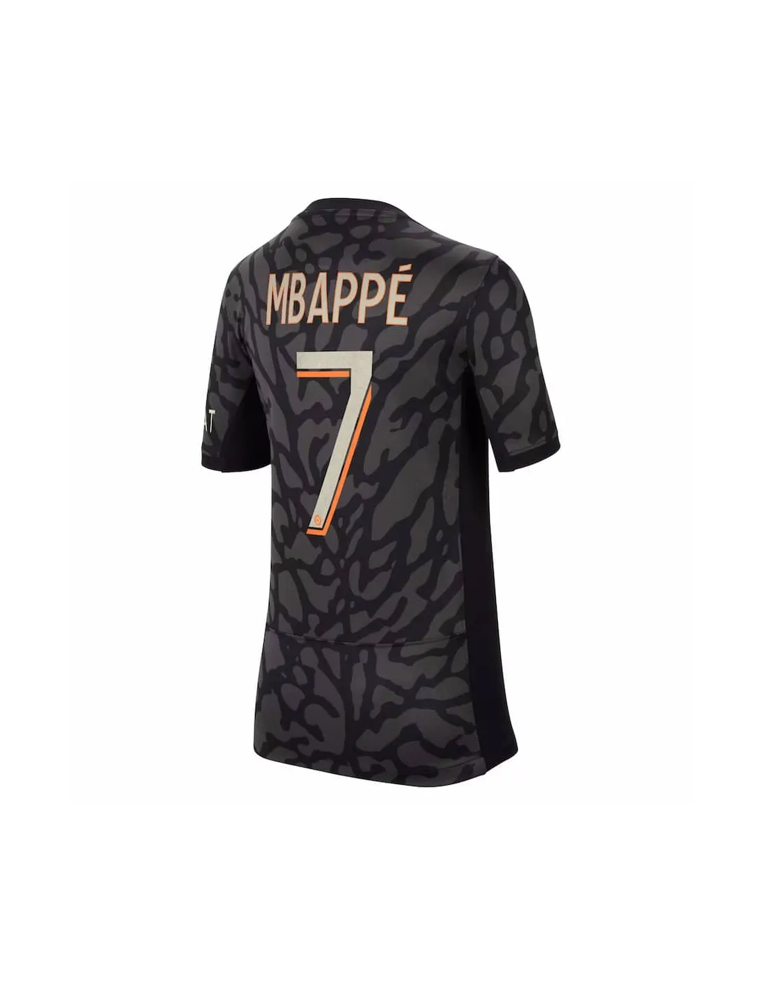 FRANCE LIGUE 1,PARIS