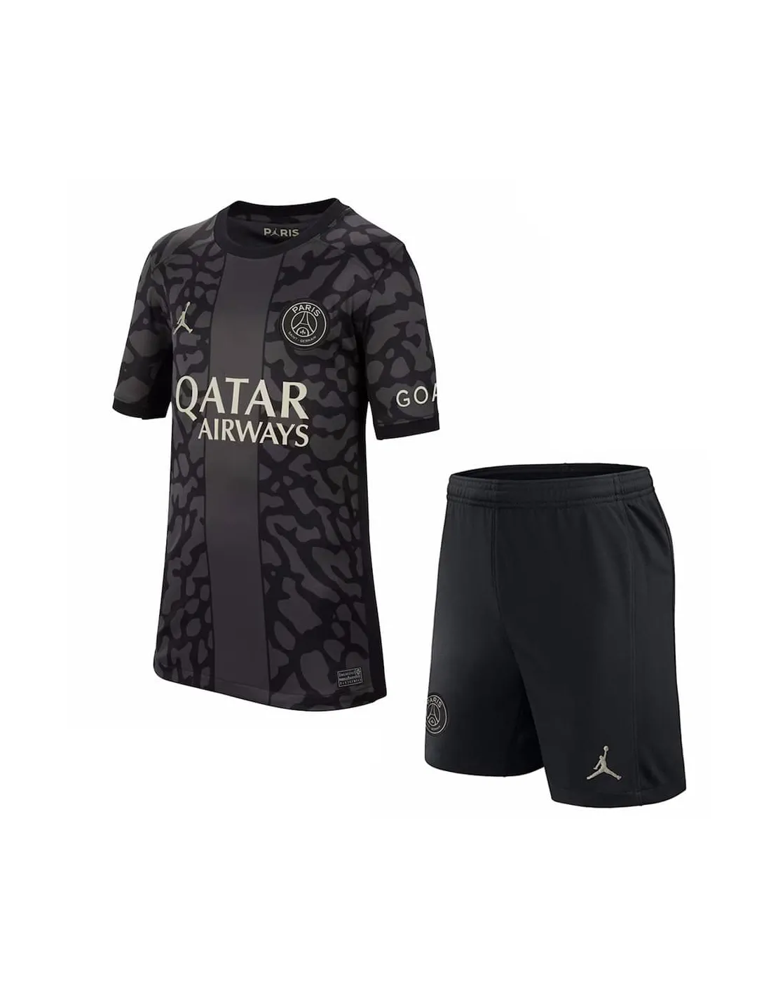 FRANCE LIGUE 1,PARIS