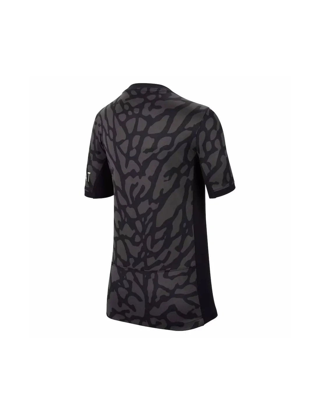 FRANCE LIGUE 1,PARIS