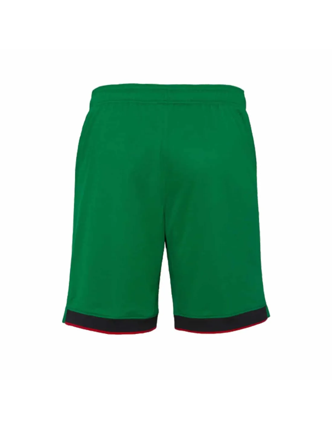 EQUIPES NATIONALES,PORTUGAL