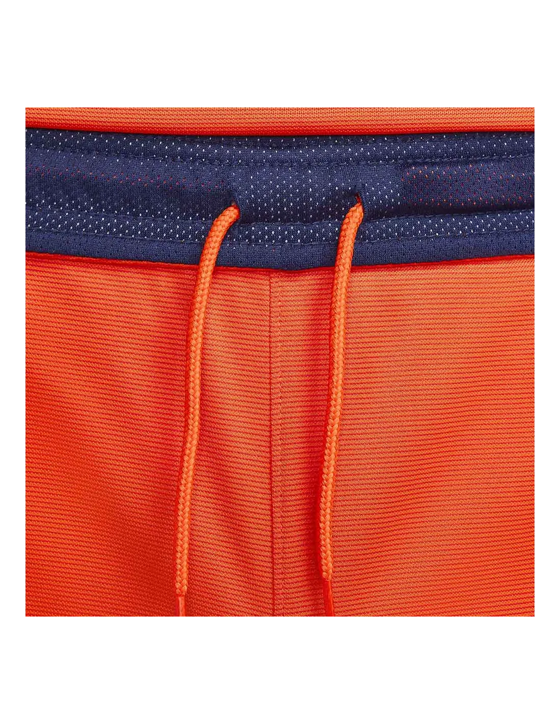 EQUIPES NATIONALES,PAYS-BAS