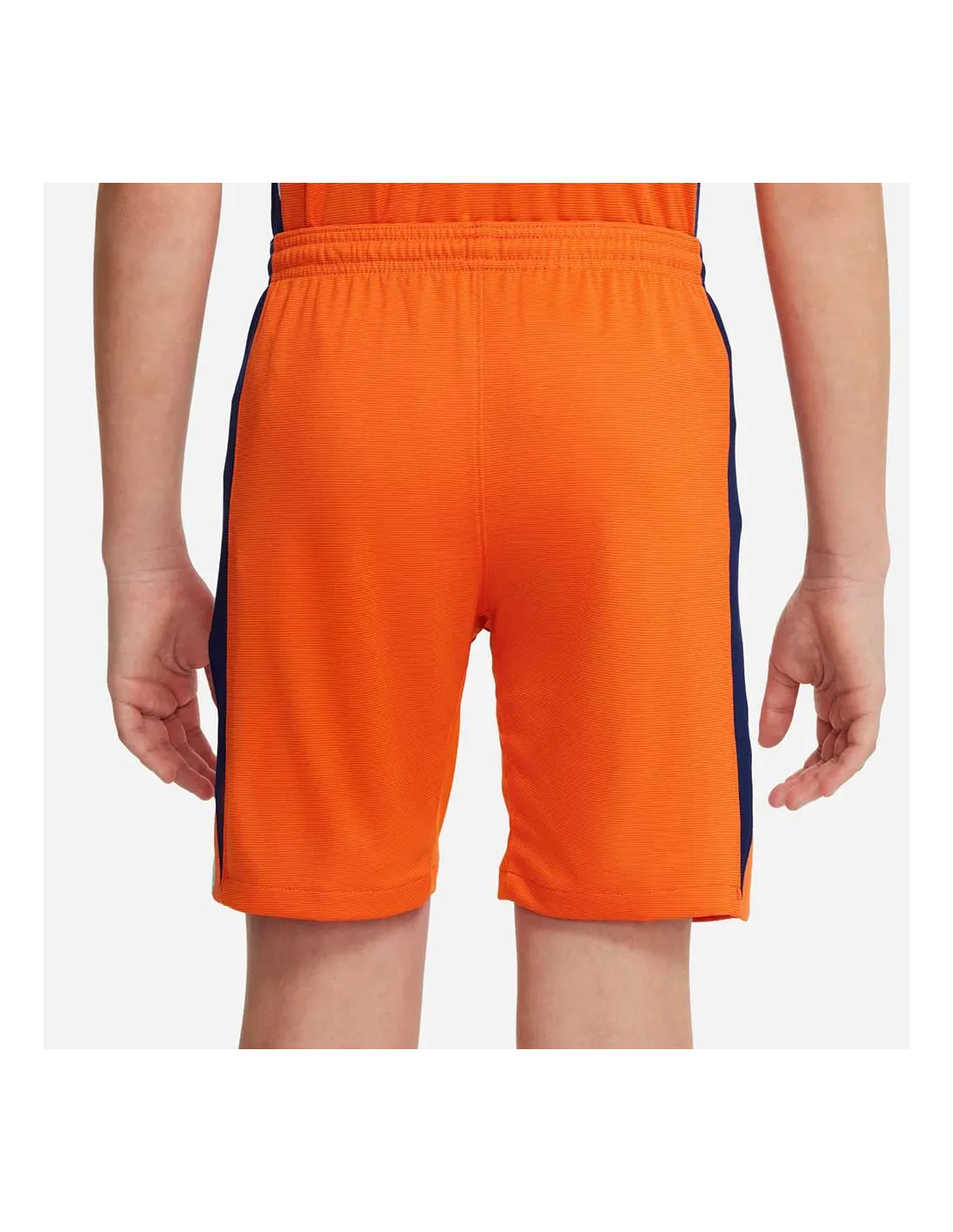 EQUIPES NATIONALES,PAYS-BAS