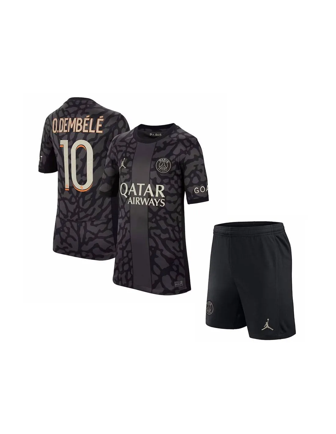 FRANCE LIGUE 1,PARIS