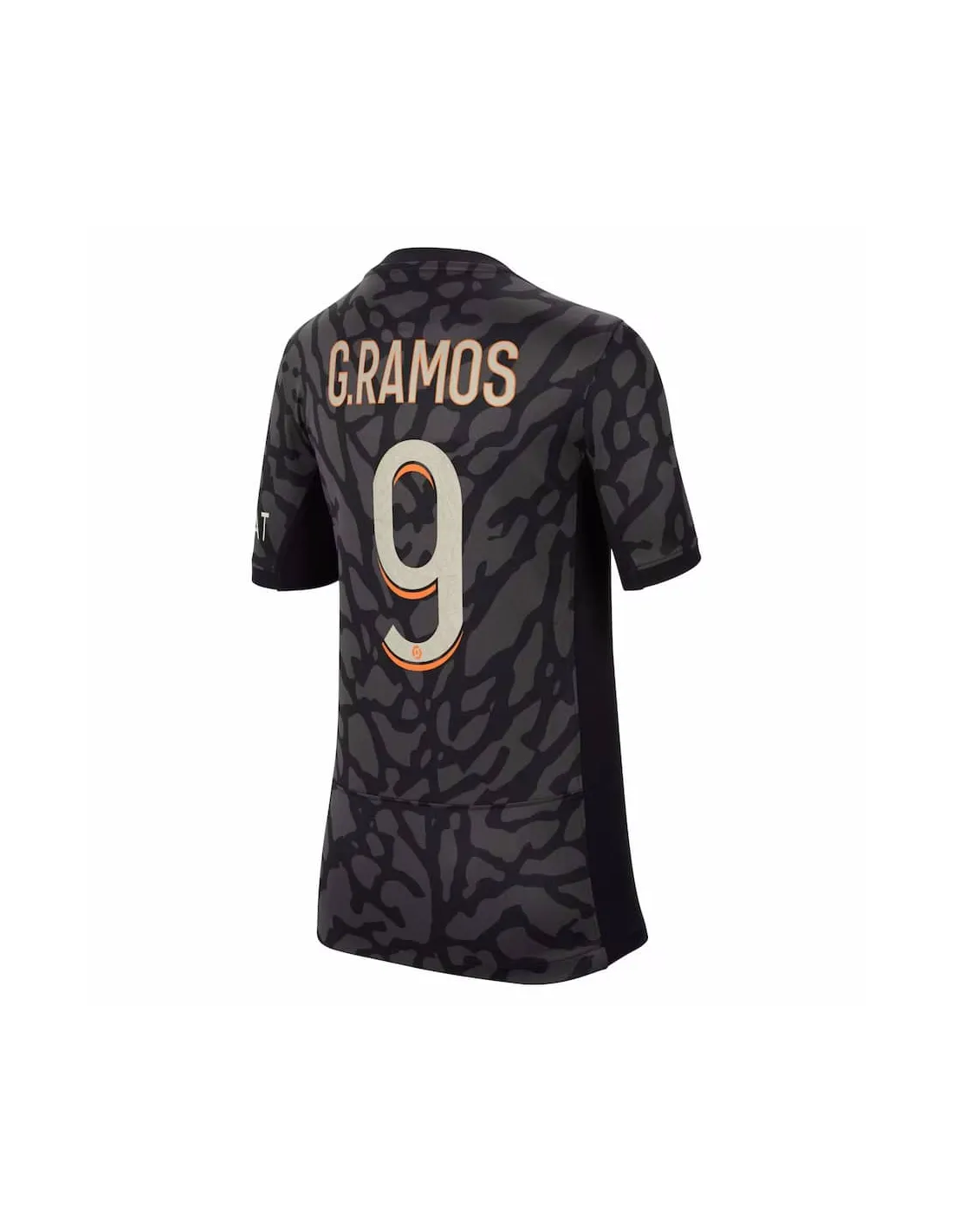 FRANCE LIGUE 1,PARIS