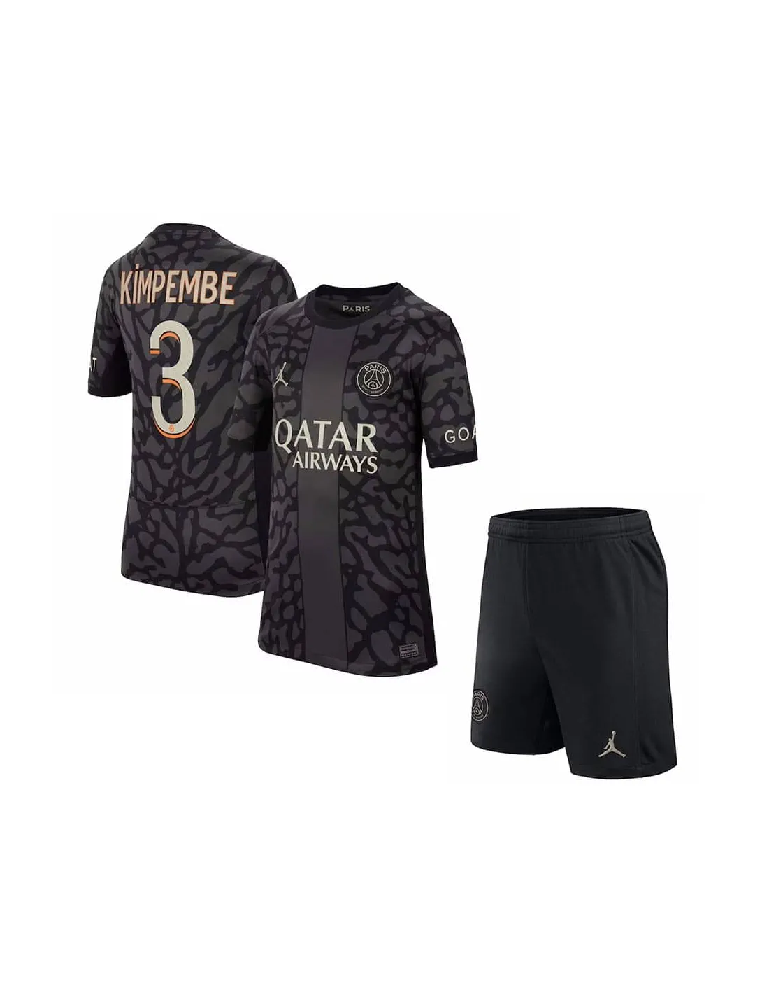 FRANCE LIGUE 1,PARIS