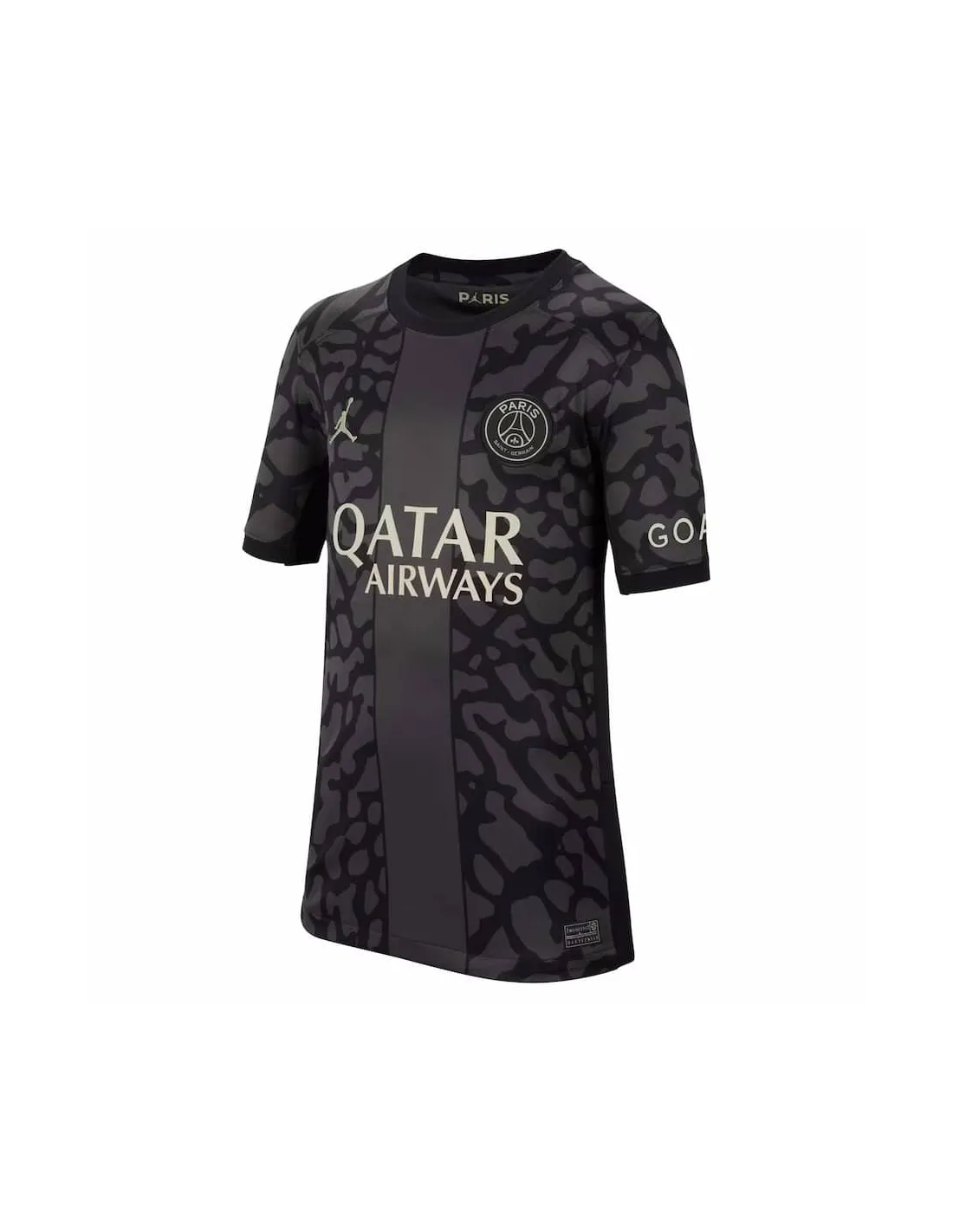 FRANCE LIGUE 1,PARIS